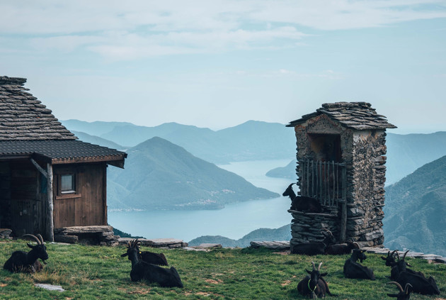 瑞士移民：资产保护，双重征税协议和一个有吸引力的居住地点