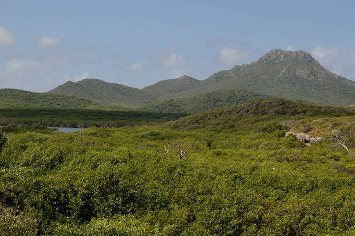 库拉索岛旅游和移民生活指南