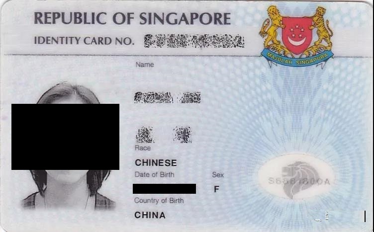 新加坡入境卡2020样本图片